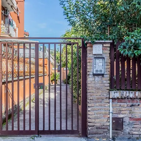 Metro C - Nando's House *